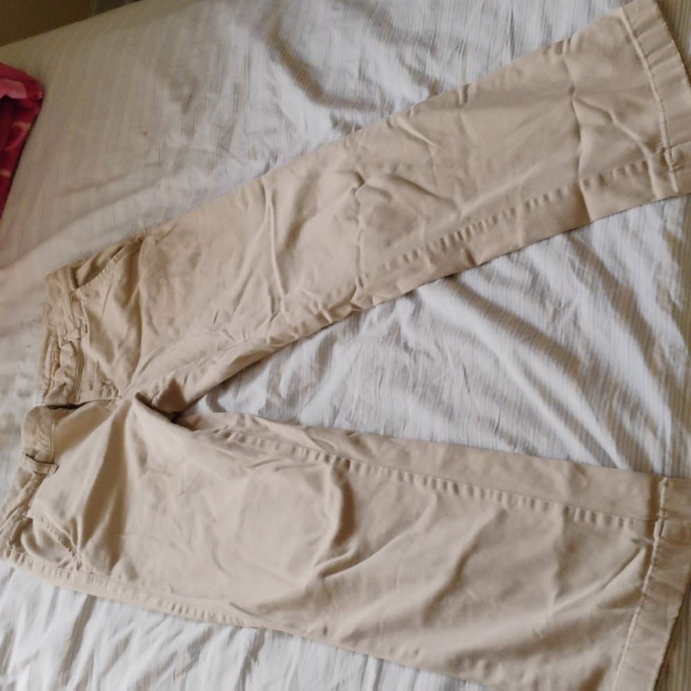 Dress pants